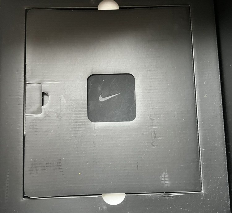 Nike Adapt Auto Max
