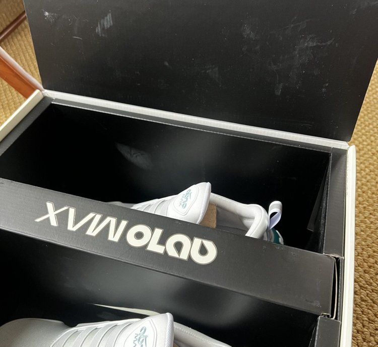 Nike Adapt Auto Max