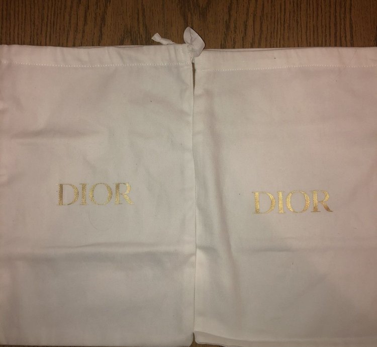 Christian Dior B22 Sneaker
