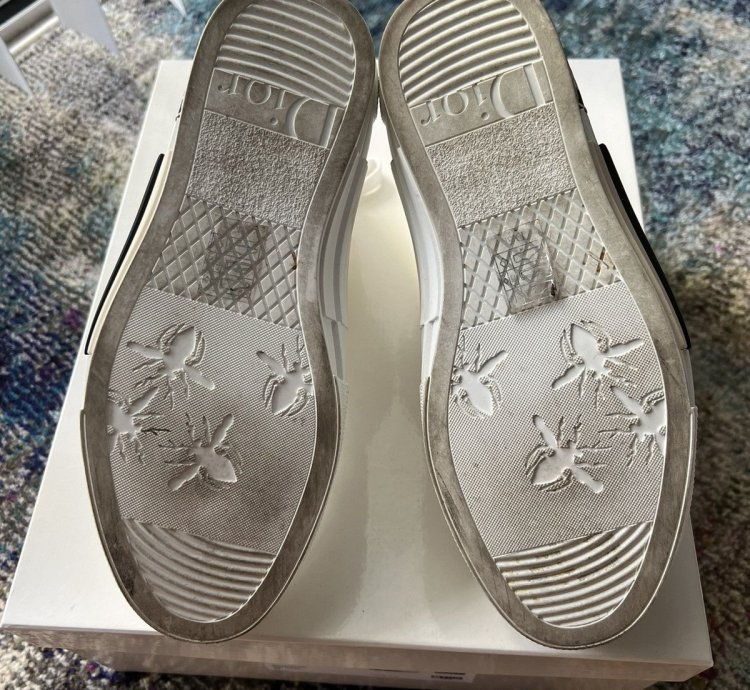 Christian Dior B23 Sneaker
