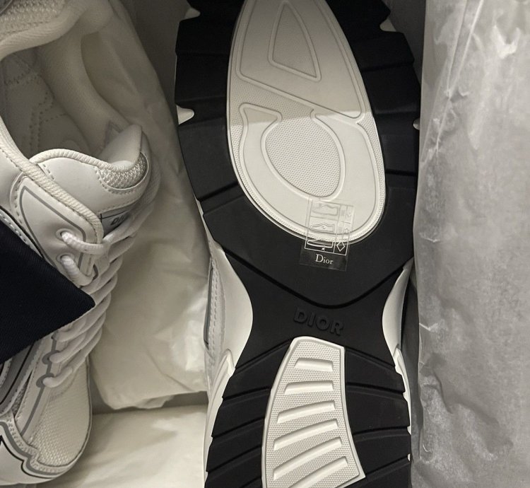 Christian Dior B30 White Grey Trainers Sneakers B22 B23