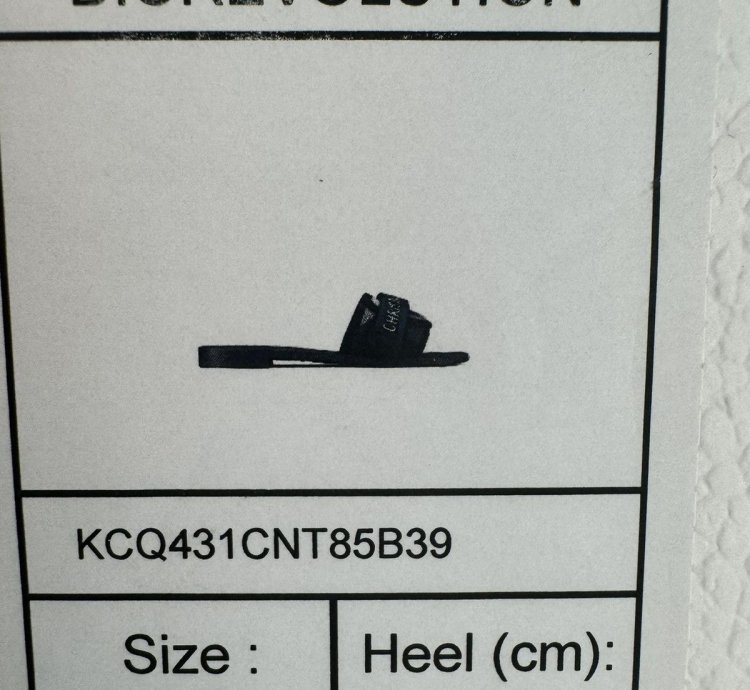 Christian Dior Dioevolution Slides