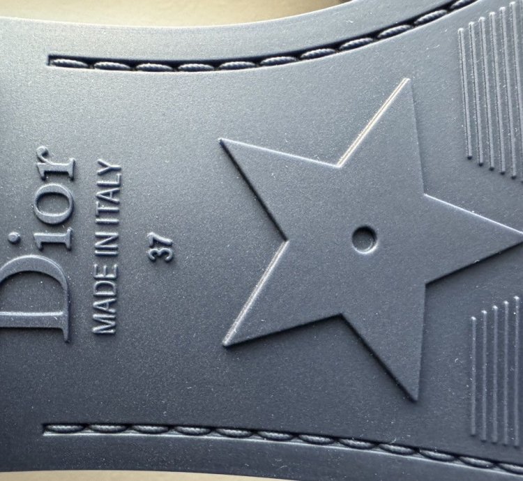 Christian Dior Dioevolution Slides