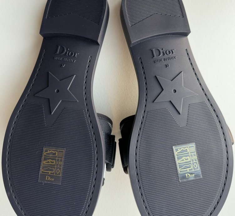 Christian Dior Dioevolution Slides