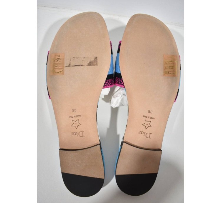 Christian Dior Dway Jungle Blue Embroidered Slide Sandal
