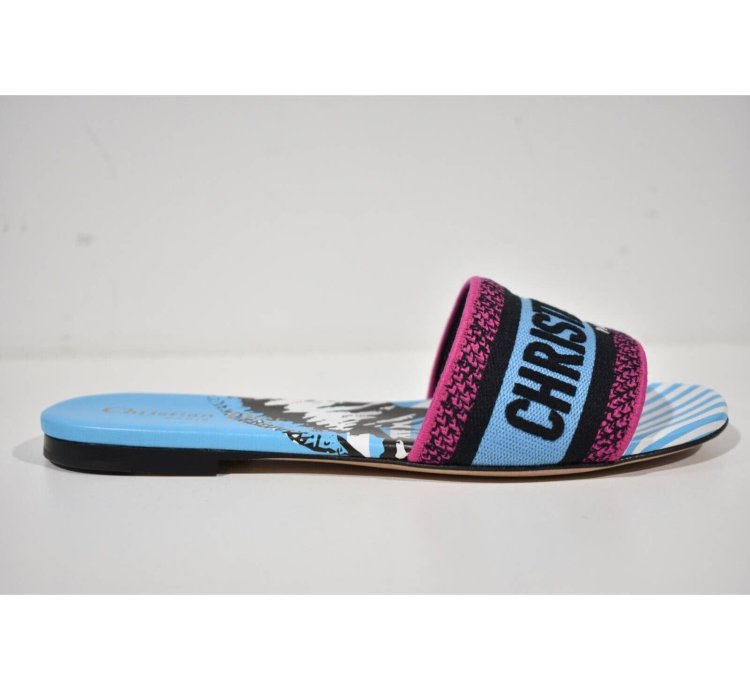 Christian Dior Dway Jungle Blue Embroidered Slide Sandal