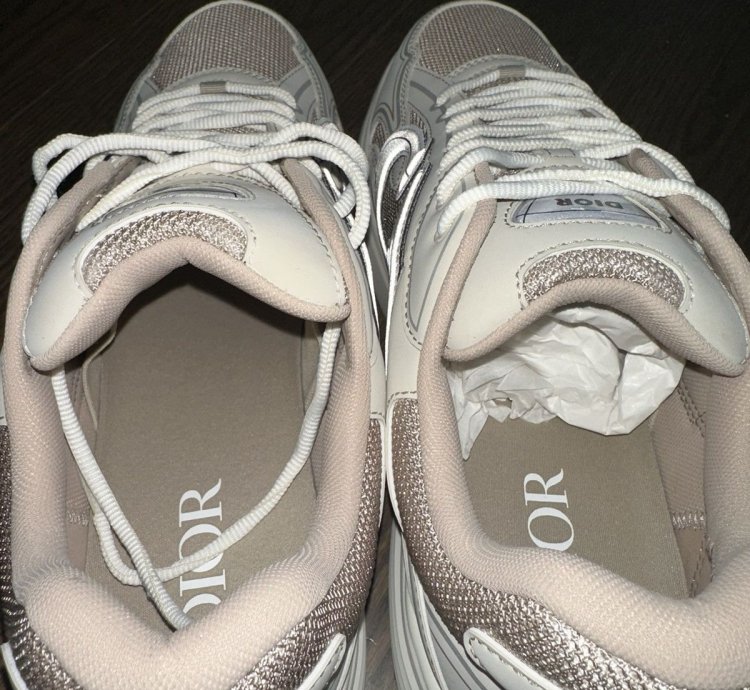 Christian Dior Homme B30 Sneakers