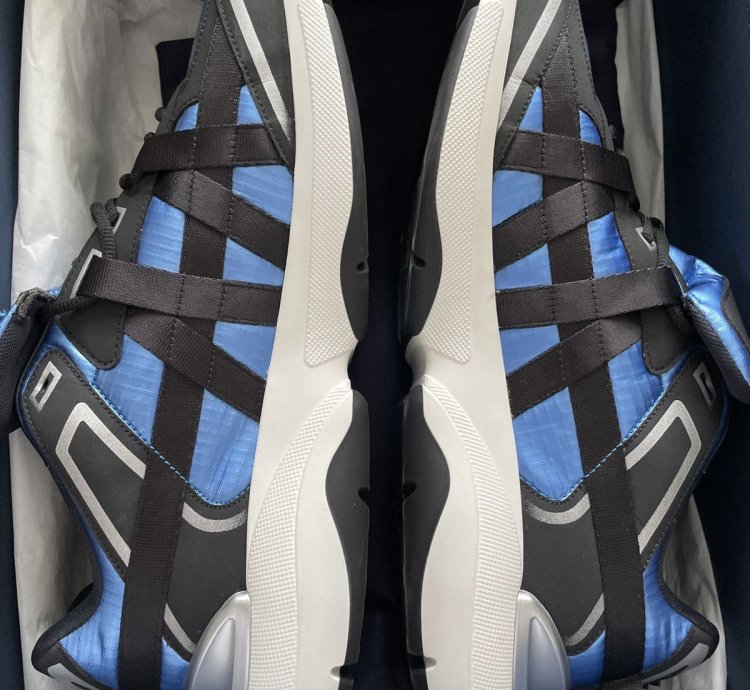 Christian Dior Sorayama B24 Runtek Blue Sneakers