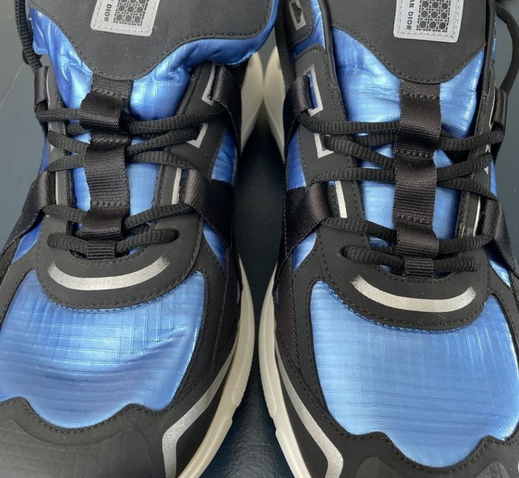 Christian Dior Sorayama B24 Runtek Blue Sneakers