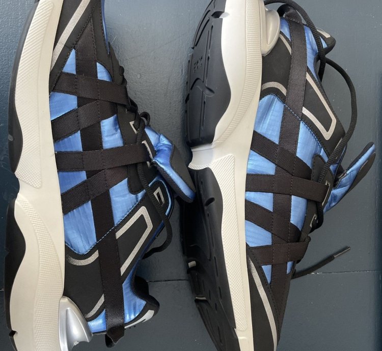 Christian Dior Sorayama B24 Runtek Blue Sneakers