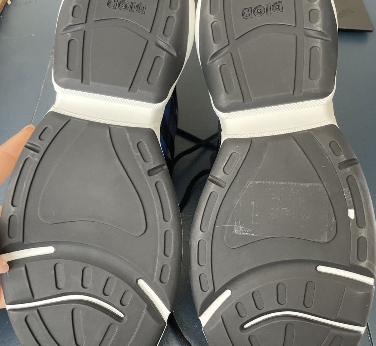 Christian Dior Sorayama B24 Runtek Blue Sneakers