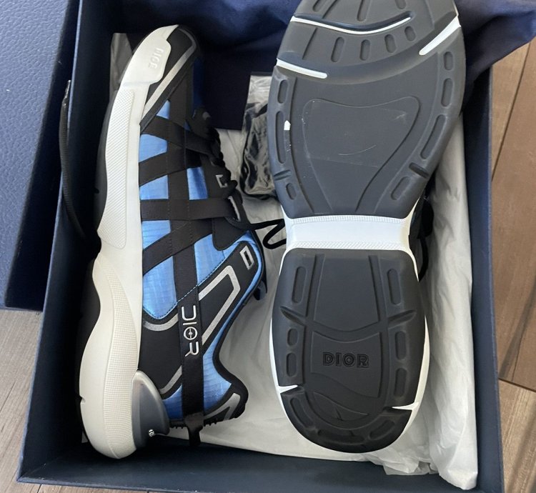 Christian Dior Sorayama B24 Runtek Blue Sneakers