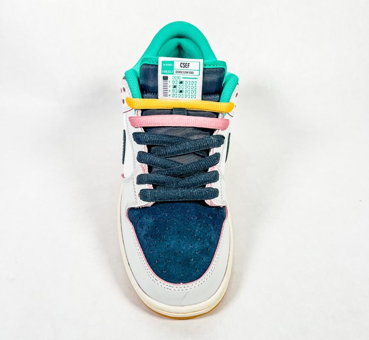 Nike Sb Dunk Low Csef - Hj4132-100