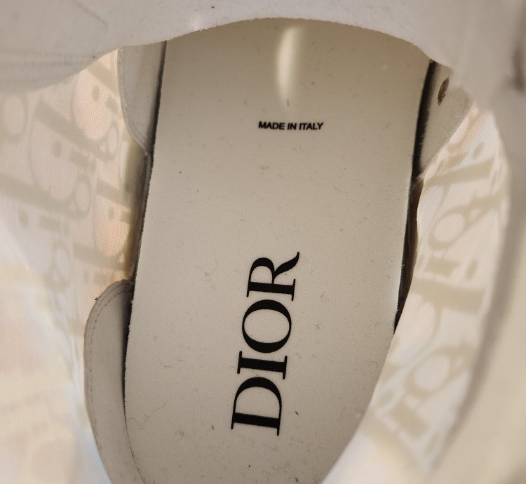 Dior -23 High Top Sneaker