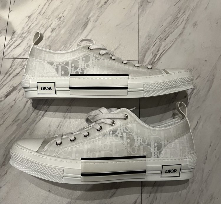 Dior -23 Low Top Sneakers Rare