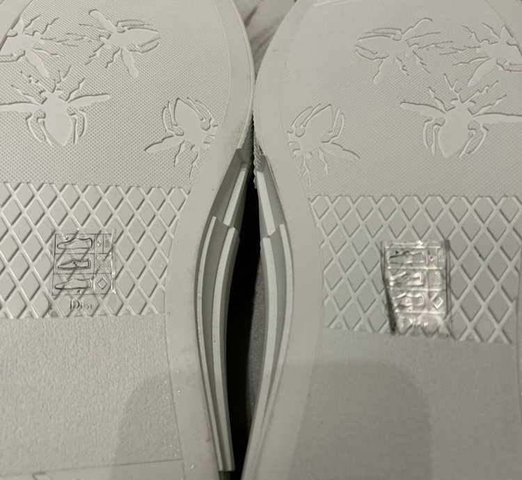 Dior -23 Low Top Sneakers Rare