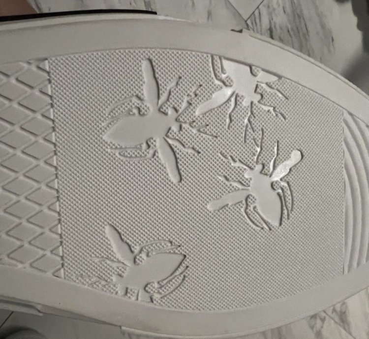 Dior -23 Low Top Sneakers Rare