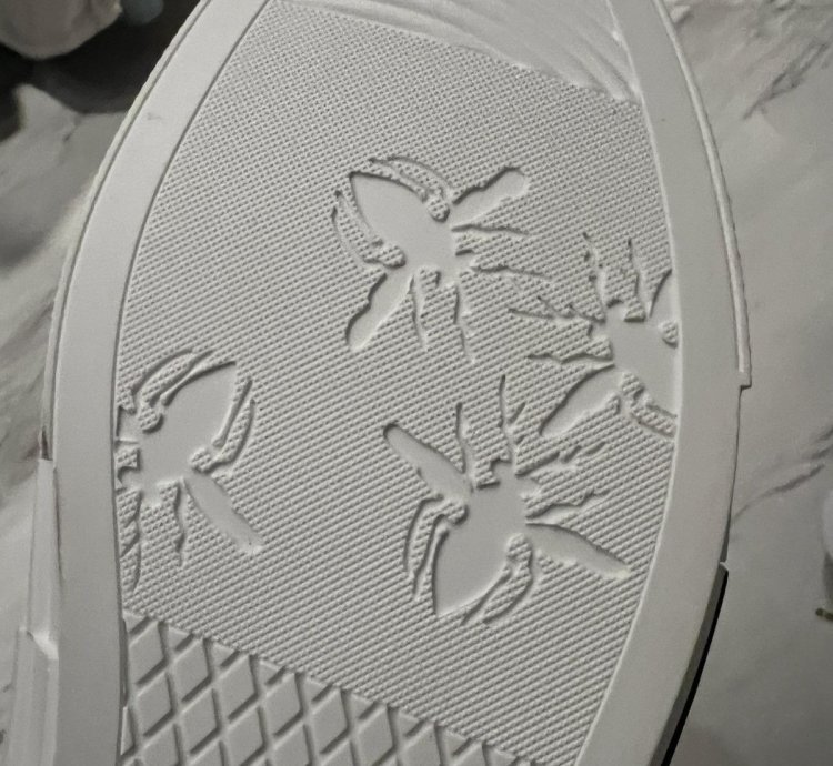 Dior -23 Low Top Sneakers Rare