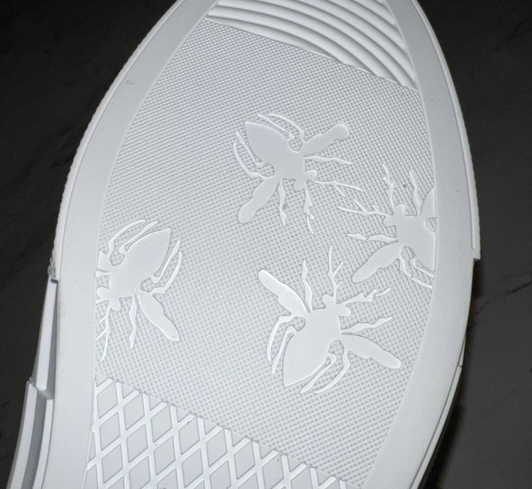 Dior -23 Low Top Sneakers Rare
