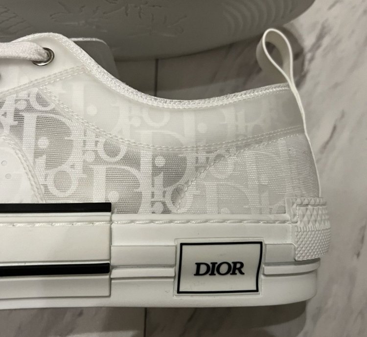 Dior -23 Low Top Sneakers Rare