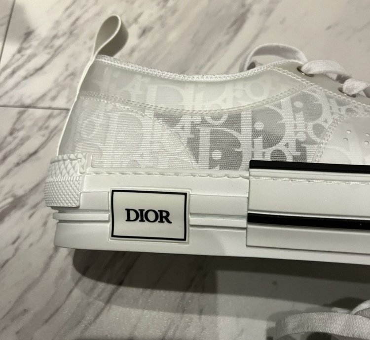 Dior -23 Low Top Sneakers Rare