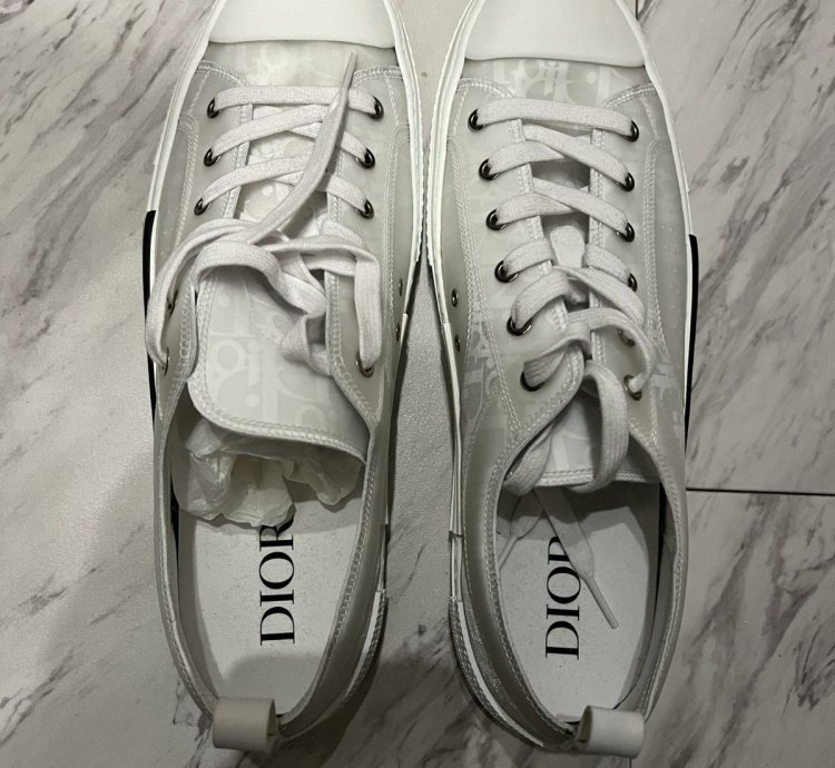 Dior -23 Low Top Sneakers Rare