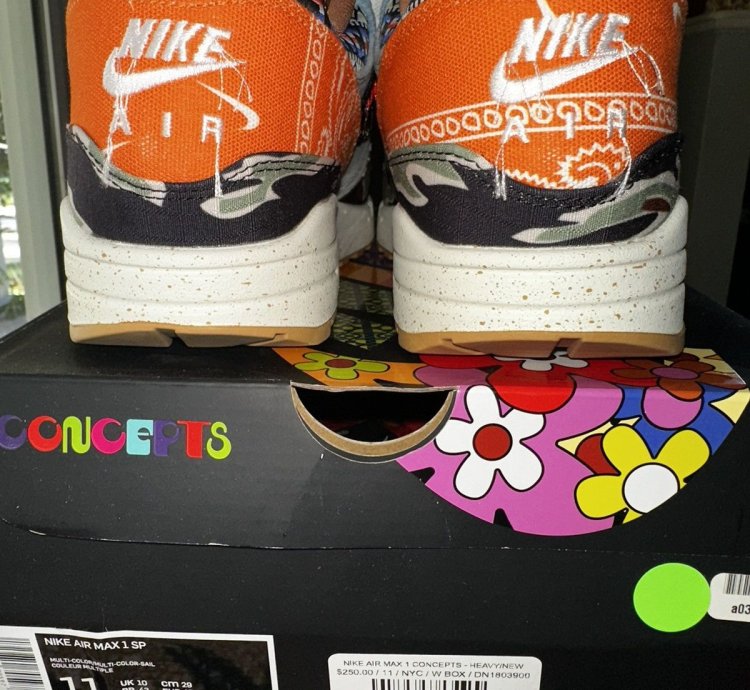 Nike Air Max 1 - Concepts Heavy