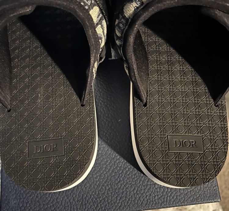 Dior Alpha Oblique Sandals