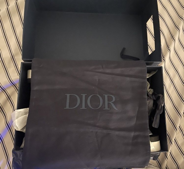 Dior Alpha Sandal Black