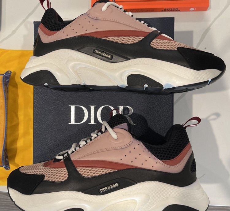 Dior B22