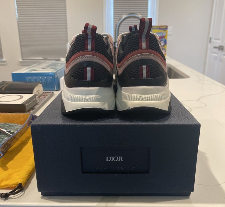 Dior B22
