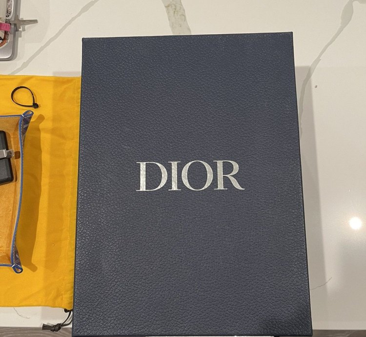 Dior B22
