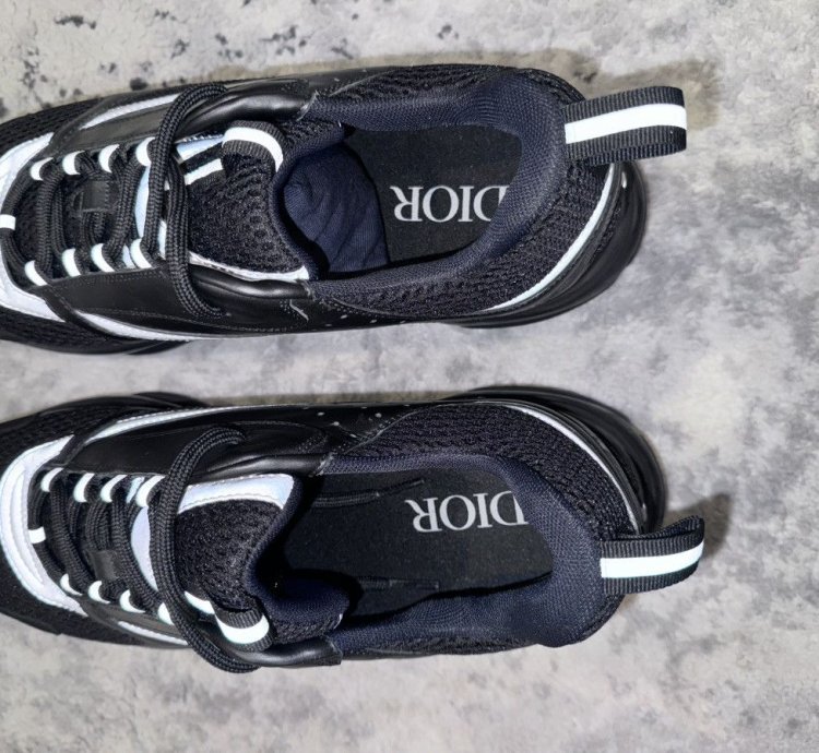 Dior B22