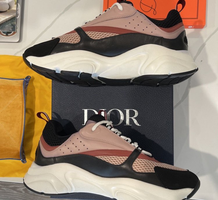 Dior B22