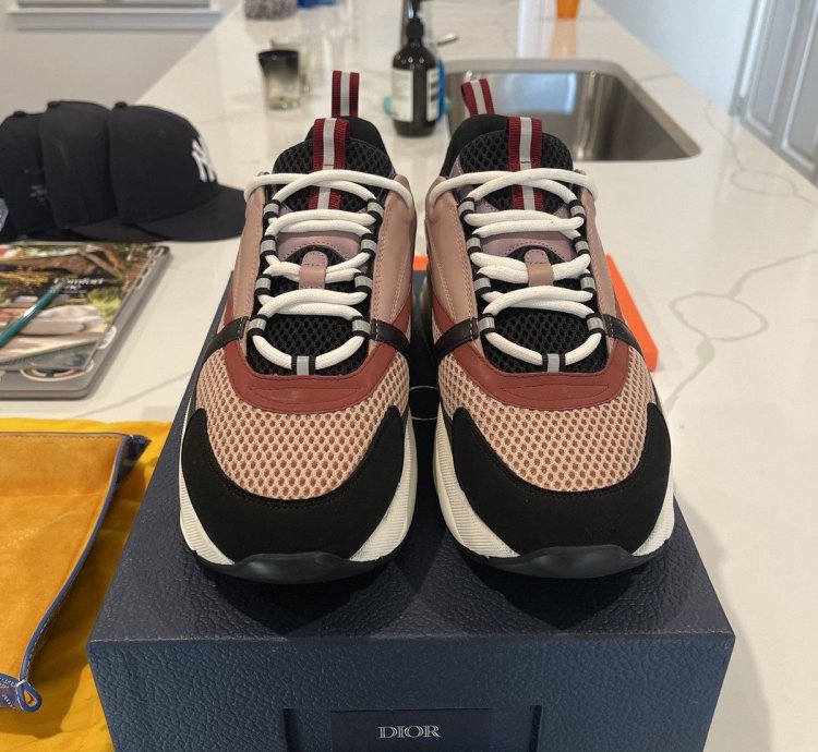 Dior B22