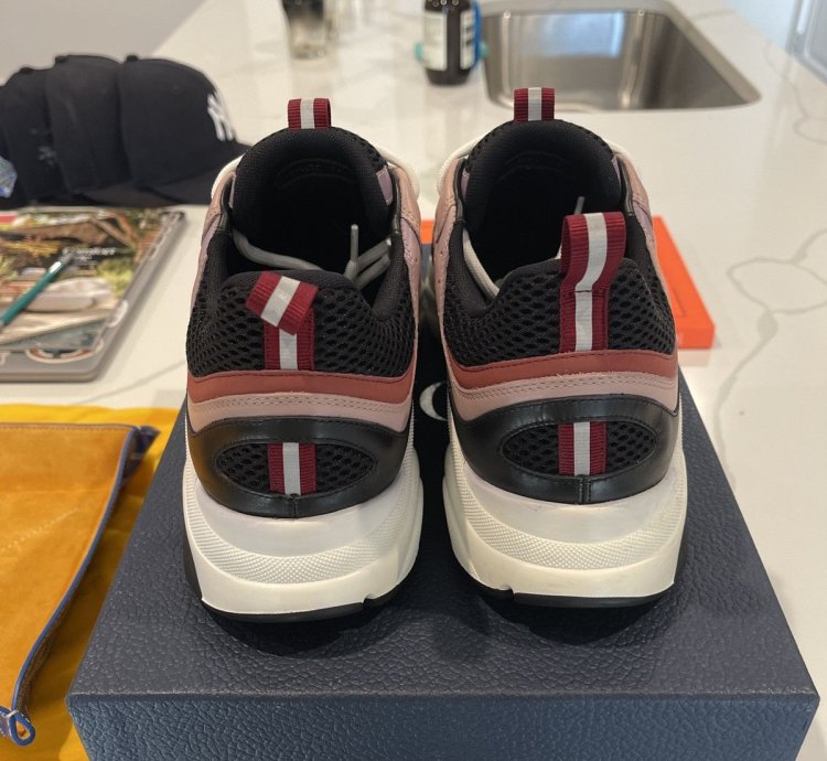 Dior B22