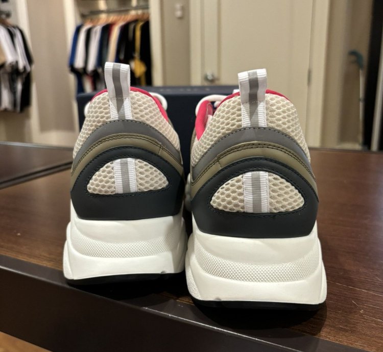 Dior B22 - Pink Silver