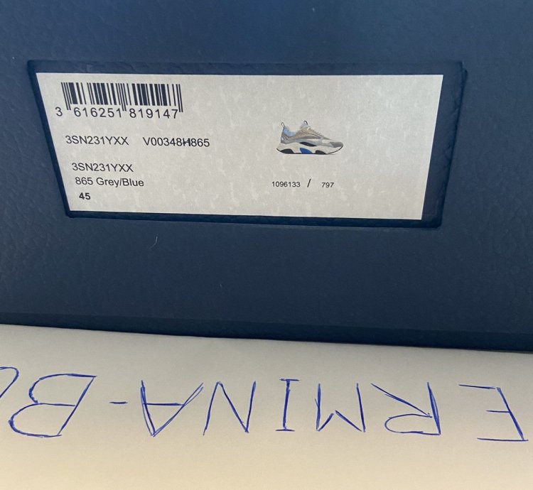 Dior B22 Baby Blue Sneaker Size 12