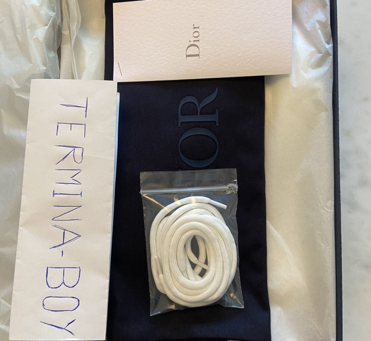 Dior B22 Baby Blue Sneaker Size 12