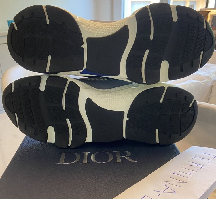 Dior B22 Baby Blue Sneaker Size 12
