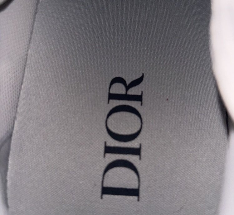 Dior B22 Black And White