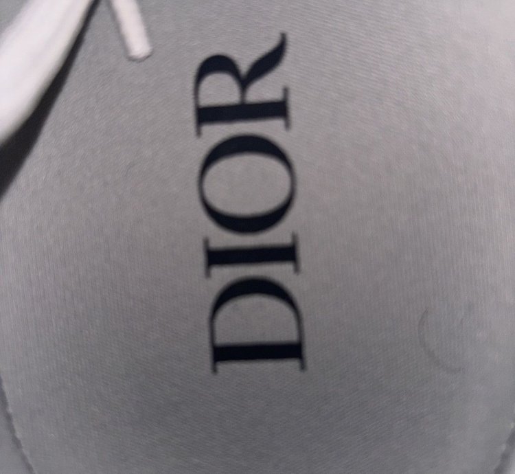 Dior B22 Black And White
