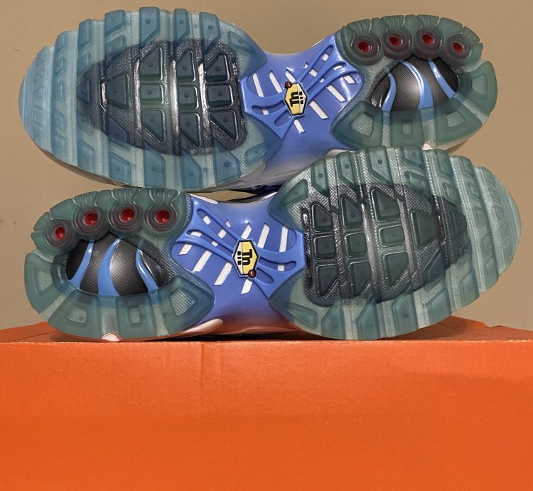 Nike Air Max Plus Tn Paris Fashion Week