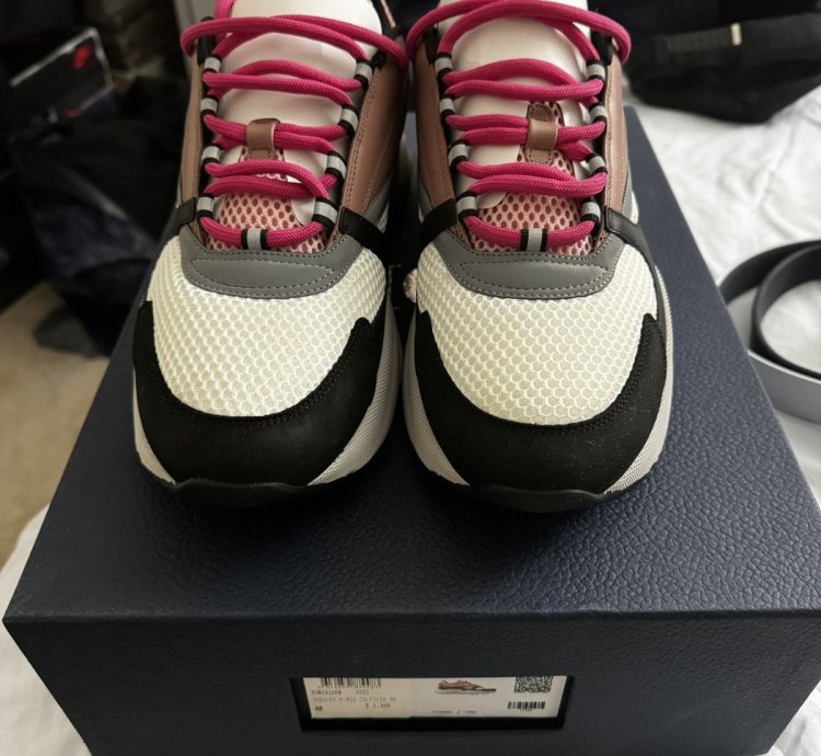 Dior B22 Burlwood
