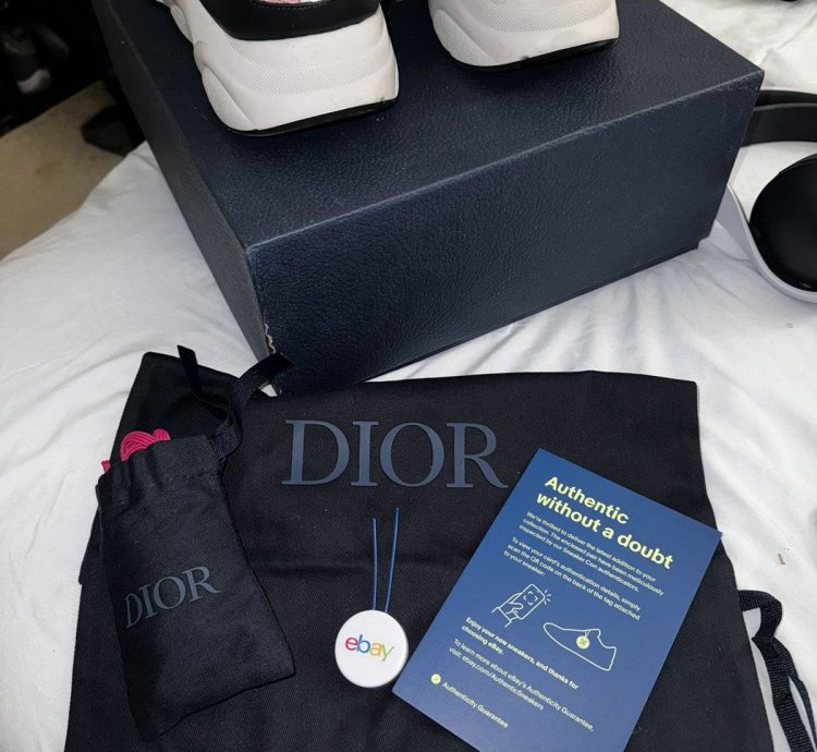 Dior B22 Burlwood