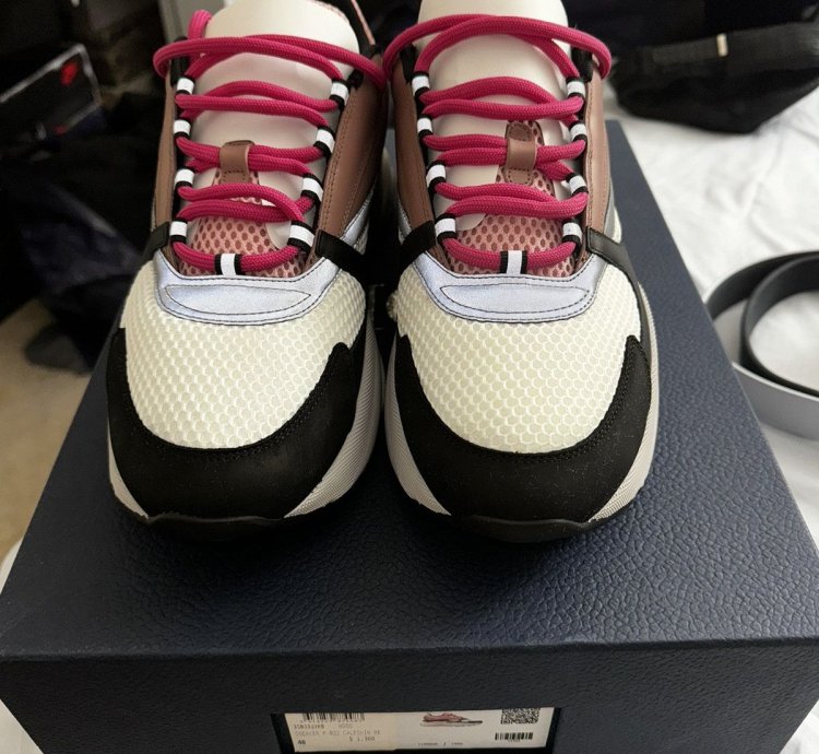 Dior B22 Burlwood