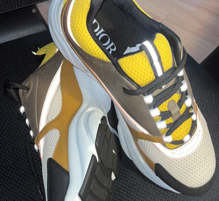 Dior B22 Calf Mesh
