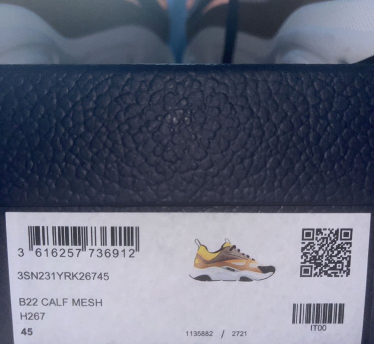 Dior B22 Calf Mesh