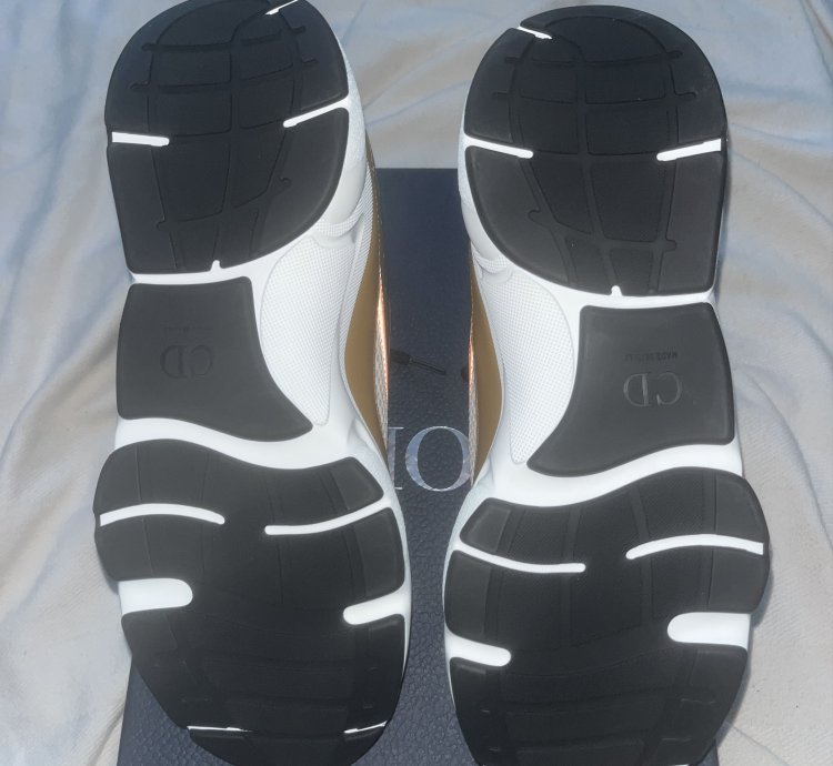 Dior B22 Calf Mesh