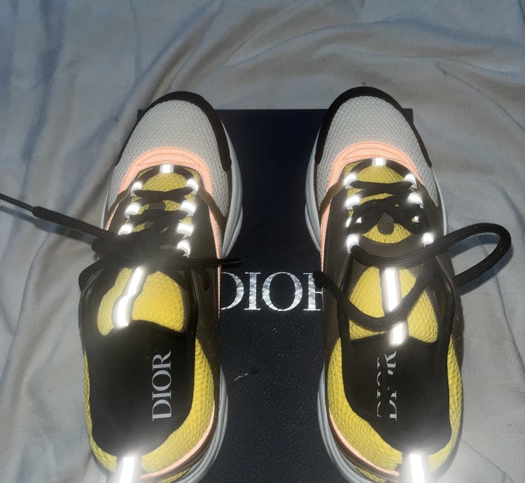 Dior B22 Calf Mesh